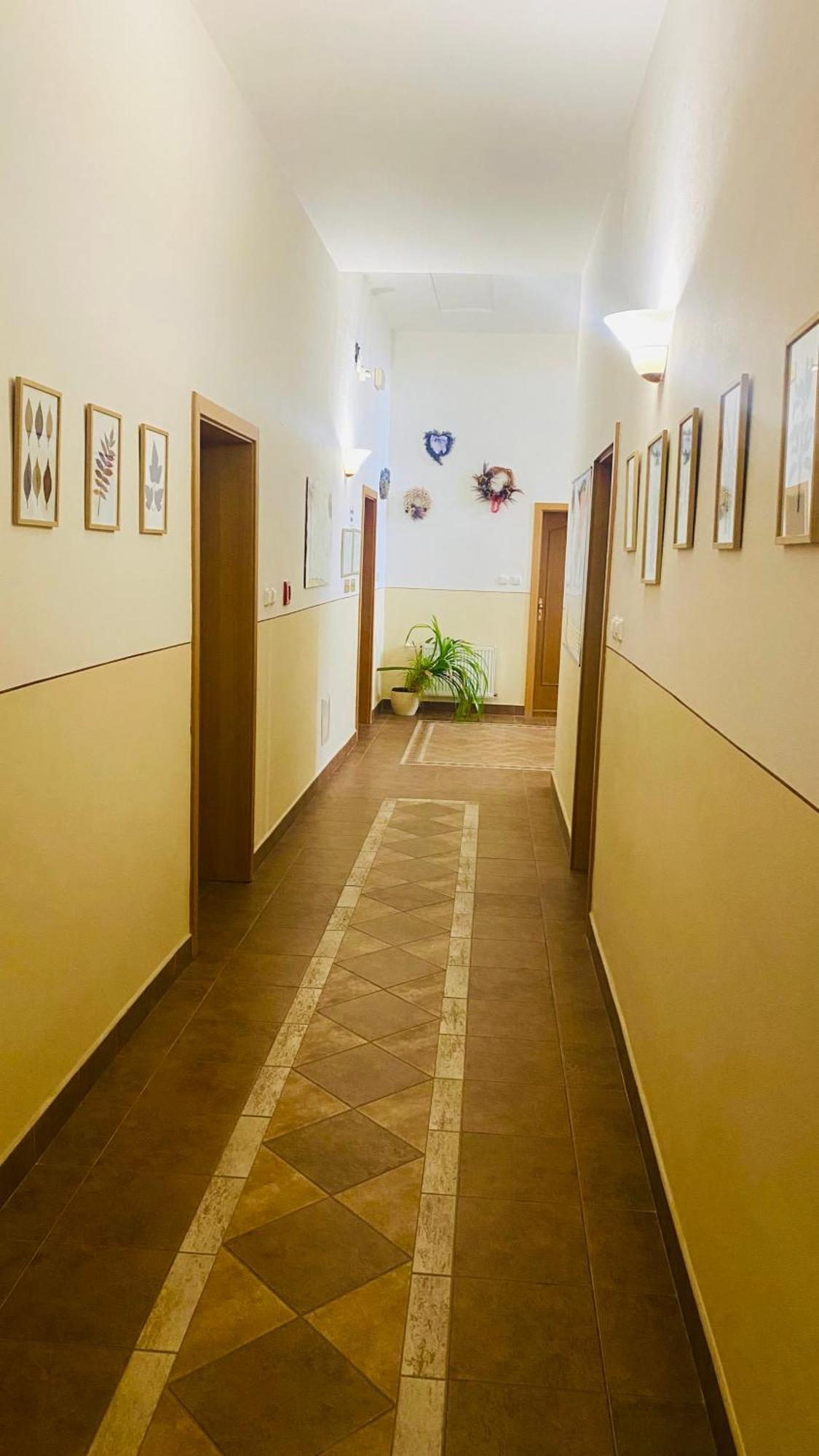 Penzion Černý Kůň Hradec Králové Exterior foto